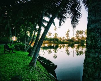 Reflection of trees in lake