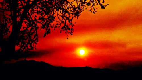 Silhouette tree against orange sky