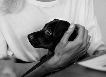 Close-up of hand with dog