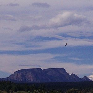 Birds flying over mountains against sky