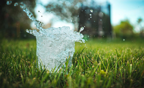 Close-up of water splashing on grassy field