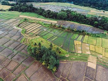 High angle view of agricultural field