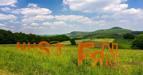 Scenic view of field against sky