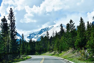 Road amidst trees against sky