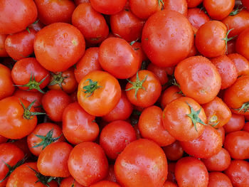 Full frame shot of tomatoes 