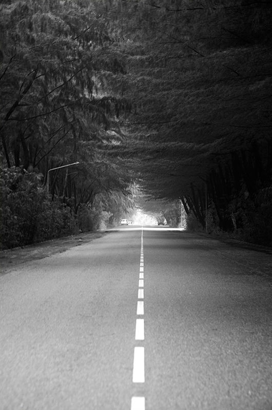 the way forward, diminishing perspective, vanishing point, road, transportation, road marking, long, empty, empty road, tranquility, asphalt, tranquil scene, country road, nature, tunnel, sky, narrow, no people, outdoors, tree