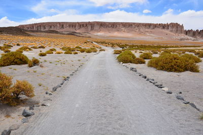 Road amidst landscape against sky