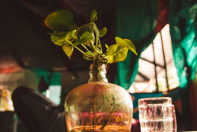 Close-up of flower vase on table