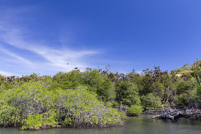 Scenic view of river against sky