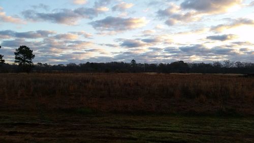 Scenic view of field against cloudy sky