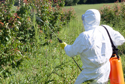 Rear view of person spraying plant