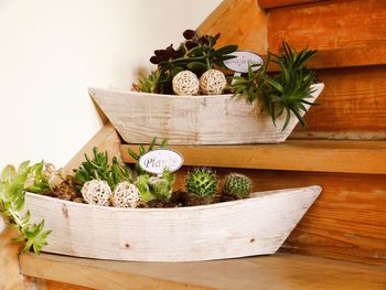 High angle view of potted plant on table