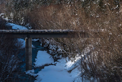 Bridge over frozen trees during winter