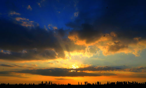 Silhouette of trees against sky during sunset