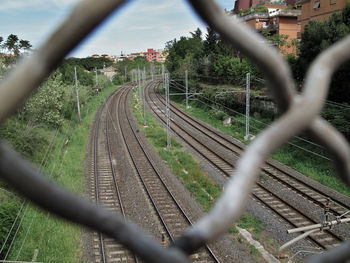 View of fence and trees in park