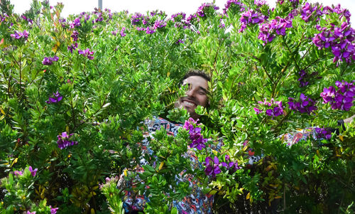 Portrait of woman on purple flowering plants