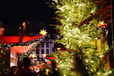 Illuminated christmas tree at night