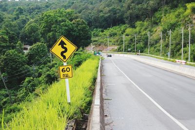 Road sign by trees