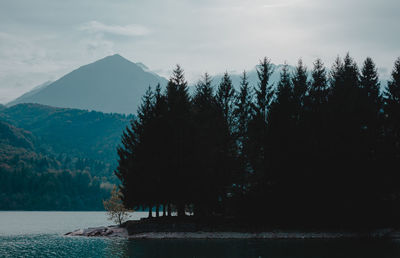 Scenic view of trees and mountains against sky