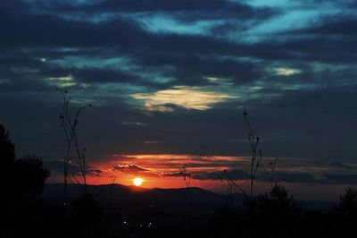 Low angle view of silhouette trees against sky during sunset