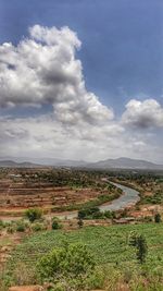 Scenic view of agricultural field against sky