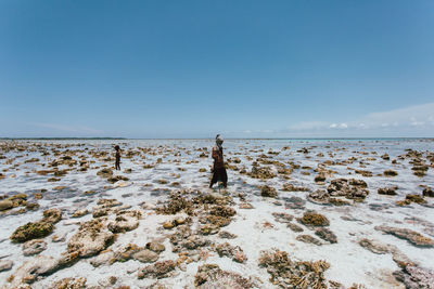 Man standing on beach against clear sky