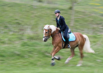 Side view of female jockey riding horse against trees