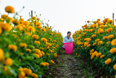 Full length of woman standing on yellow flowering plants