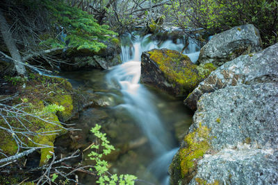 Scenic view of waterfall in forest