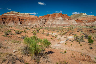 Rock formations on landscape