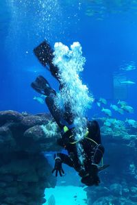 Young man scuba diving in sea