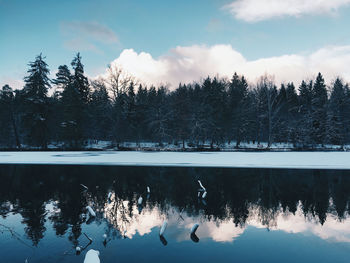 Reflection of trees in lake against sky during snowfall