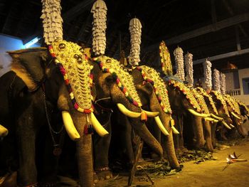 Elephants decorated during procession at temple