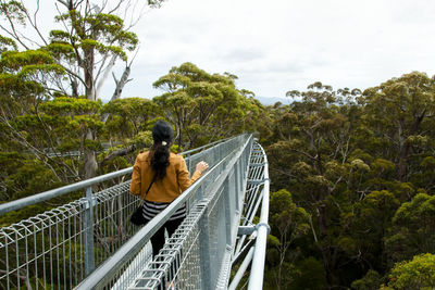 Rear view of woman on footbridge in forest