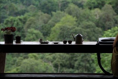 Container on table against trees and plants seen through window