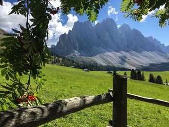 Scenic view of field against mountains