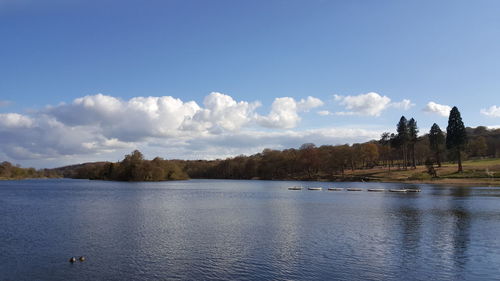 Scenic view of calm lake