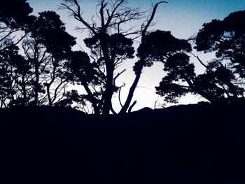 Low angle view of silhouette trees against clear sky