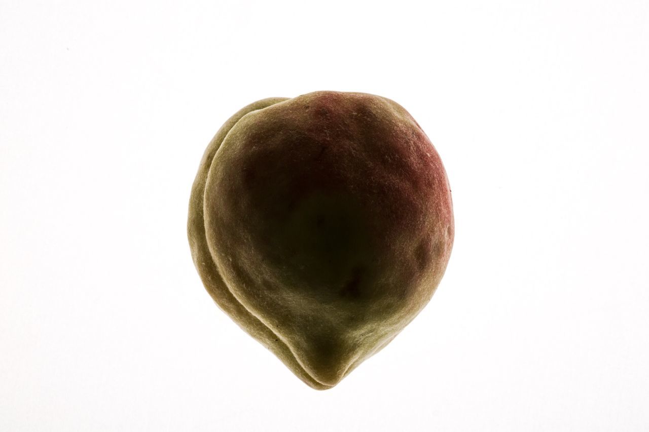 studio shot, white background, food, copy space, food and drink, close-up, indoors, healthy eating, cut out, still life, no people, single object, freshness, fruit, wellbeing, brown, nature, ripe, apple - fruit, indulgence