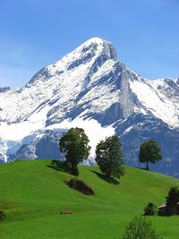 Scenic view of landscape against clear sky