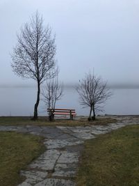 Bare tree on field by lake against sky