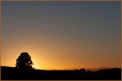 Silhouette of trees at sunset