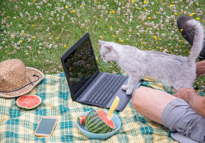 Midsection of woman using digital tablet