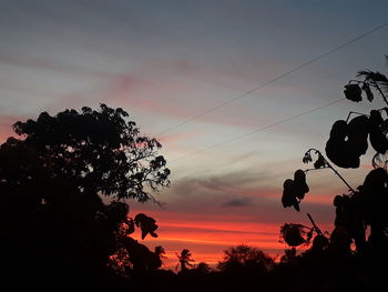 Low angle view of silhouette trees against sky at sunset