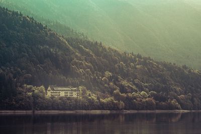 Scenic view of lake in forest