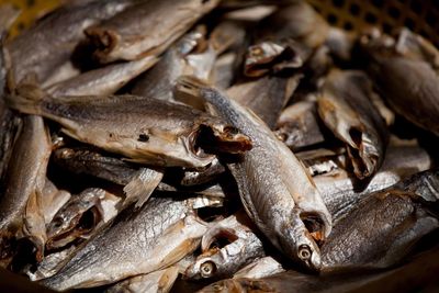 Close-up of fish for sale