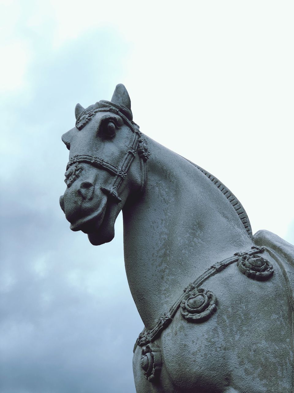 LOW ANGLE VIEW OF A HORSE AGAINST SKY