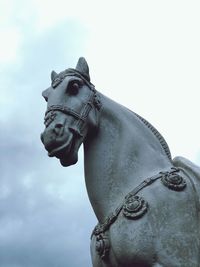 Low angle view of a horse