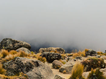 Volcanic rock formations in the foggy mountain landscapes of mount kenya, kenya