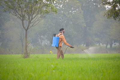 Indian farmer spraying fertilizer in his wheat field